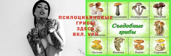 прущие грибы Беломорск
