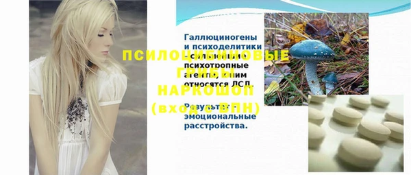 стаф Богородицк