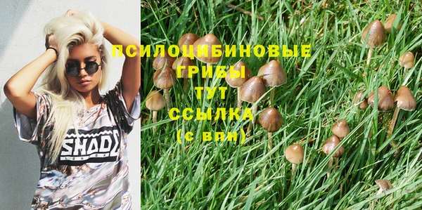 стаф Богородицк