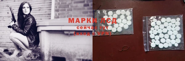 стаф Богородицк