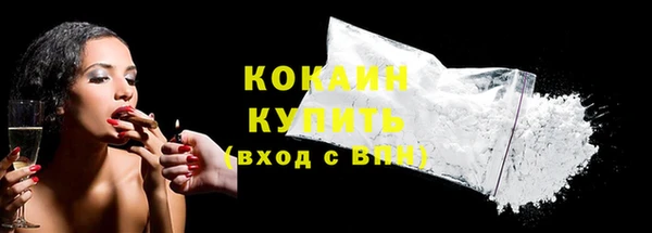стаф Богородицк